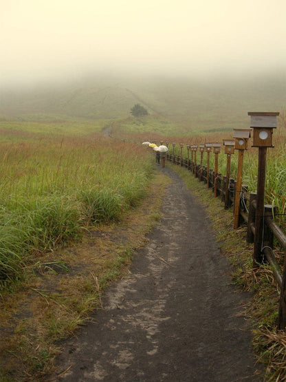 JAPAN FOGGY FIELDS Canvas