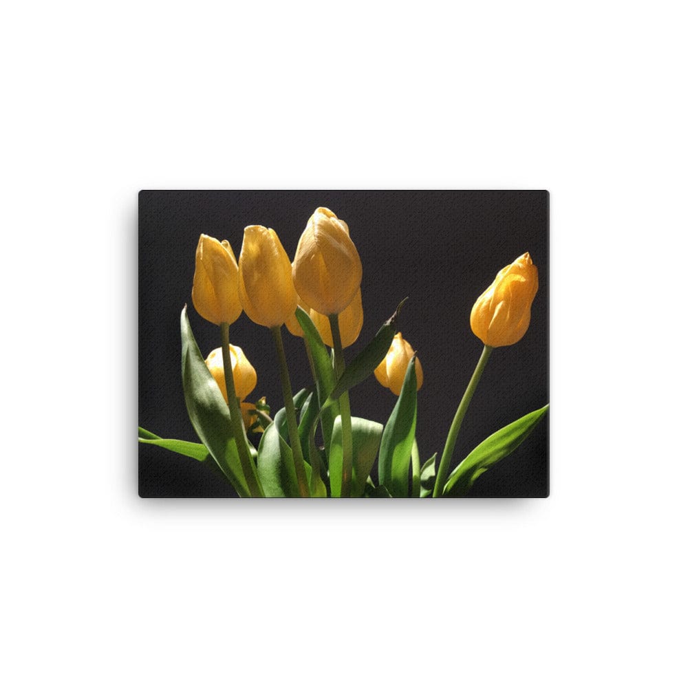 tulips bouquet on canvas - the wheaten store