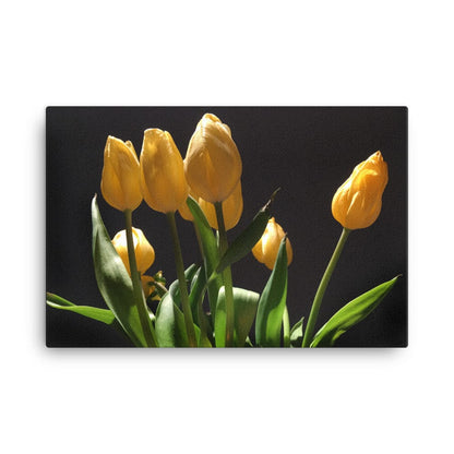 tulips bouquet on canvas - the wheaten store