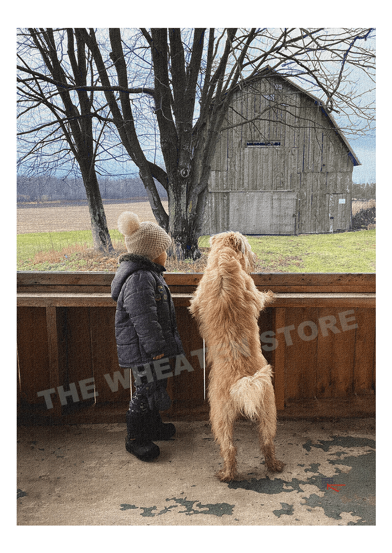 The Wheaten Store  Canvas - Child and Wheaten  30x40