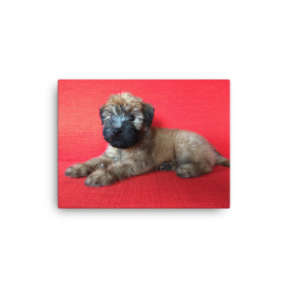 Wheaten Puppy Canvas