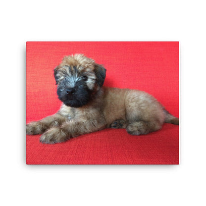 Wheaten Puppy Canvas