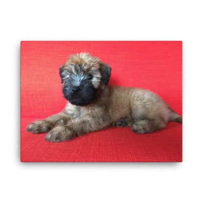 Wheaten Puppy Canvas