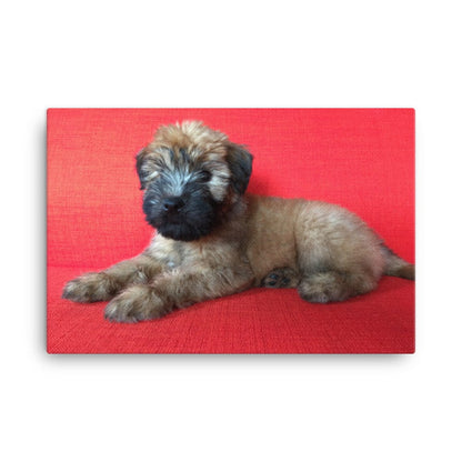 Wheaten Puppy Canvas