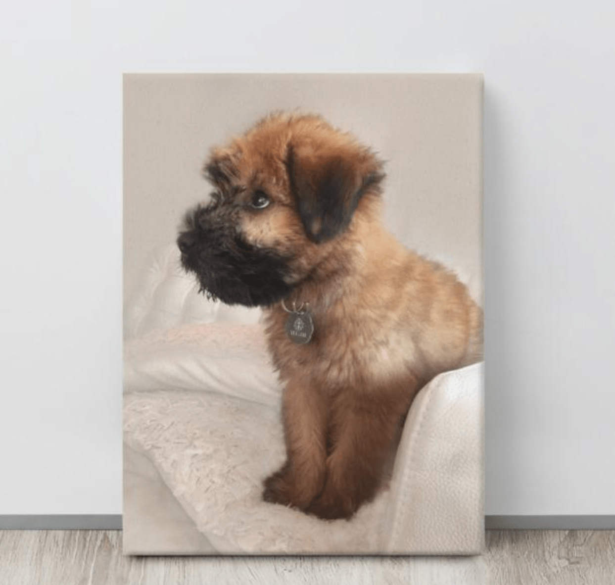 The Wheaten Store - Wheaten Puppy canvas