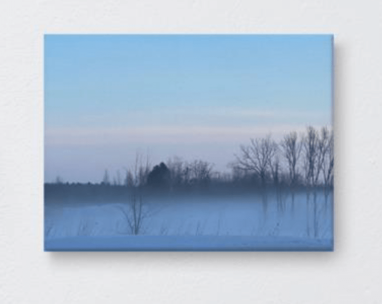 Winter Silhouettes Canvas