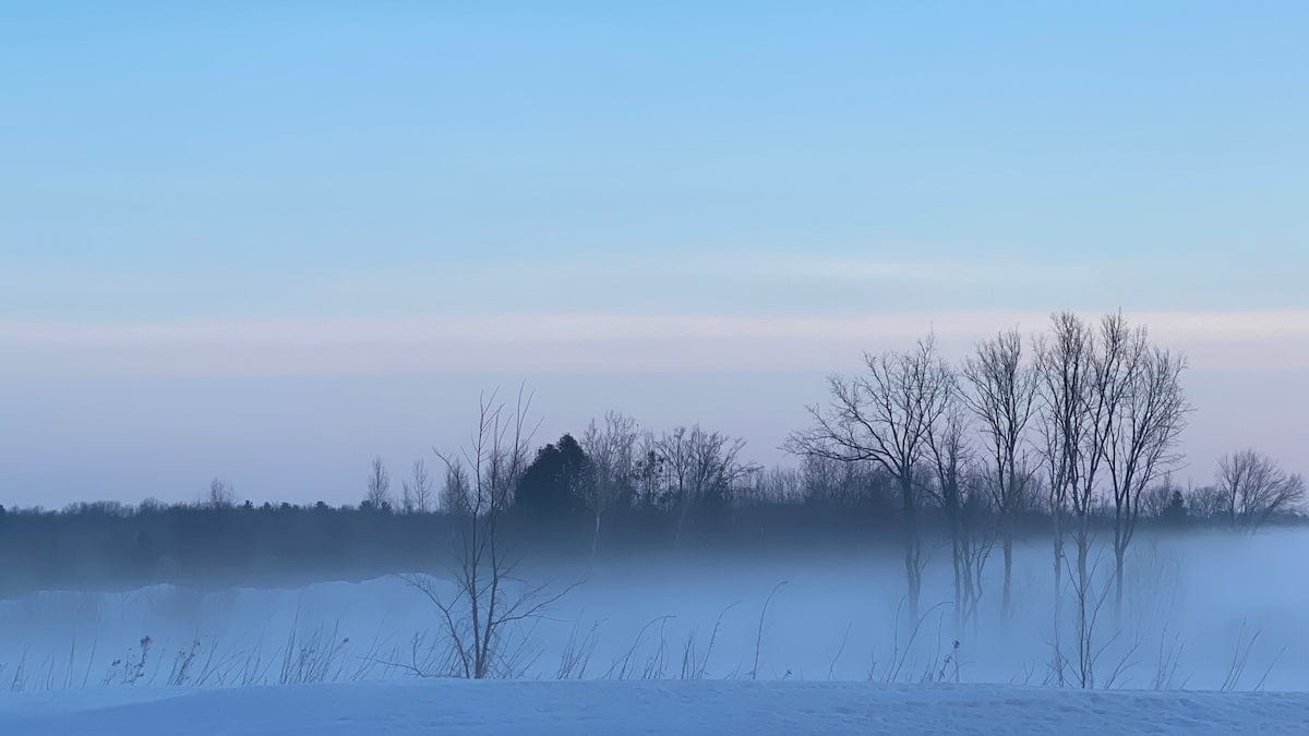 Winter Silhouettes Canvas