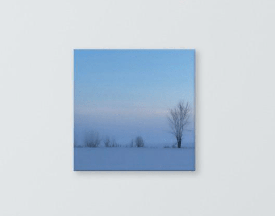 Winter softness Canvas