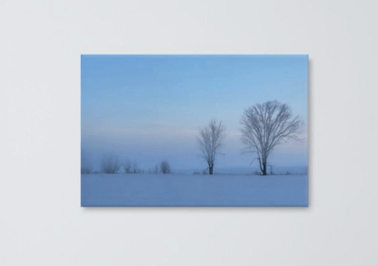 Winter softness Canvas